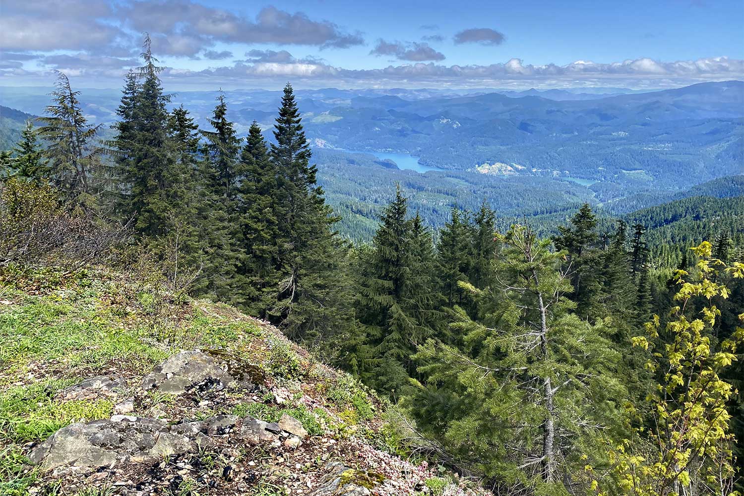 20240703outdoors-Patterson-Mountain-view-from-summit-to-Lookout-Pt-Reservoir